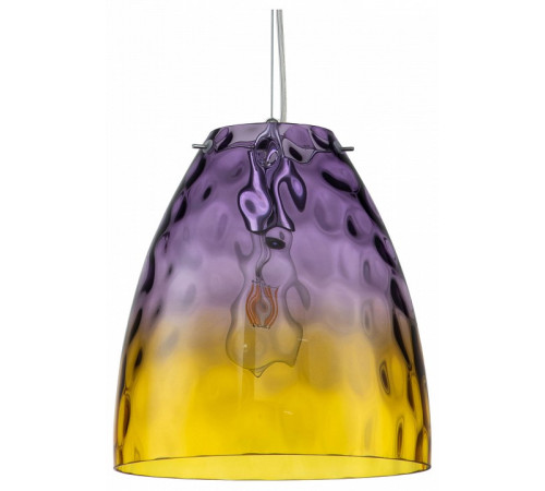 Подвесной светильник Indigo Bacca 11028/1P Purple V000294