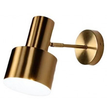 Спот Kink Light Орфей 07025W,20
