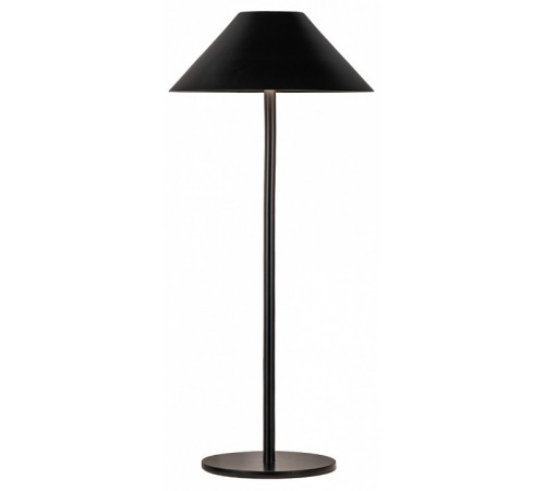 Настольная лампа Kink Light Паола 07210-T,19