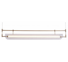 Подвесная люстра Kink Light Аника 08021-120P,20
