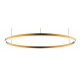 Подвесной светодиодный светильник Kink Light Тор 08214,33P(3000K)