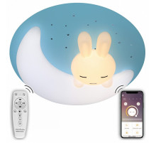 Потолочная люстра Natali Kovaltseva LED LAMPS 81087