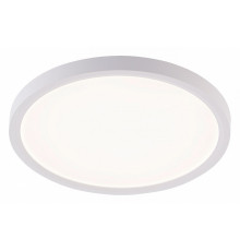 Потолочный светильник Natali Kovaltseva Plain LED LAMPS 81113/2C