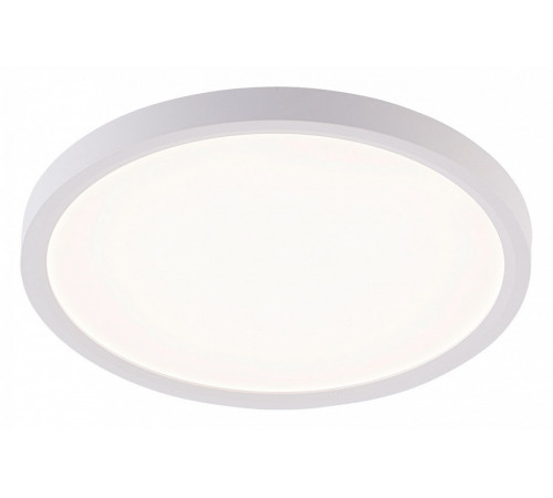 Потолочный светильник Natali Kovaltseva Plain LED LAMPS 81113/2C Потолочный светильник Natali Kovaltseva Plain LED LAMPS 81113/2C