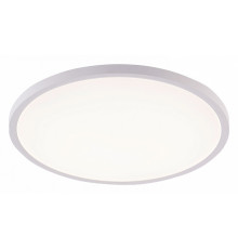 Потолочный светильник Natali Kovaltseva Plain LED LAMPS 81113/4C
