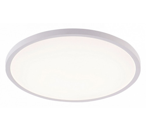 Потолочный светильник Natali Kovaltseva Plain LED LAMPS 81113/4C Потолочный светильник Natali Kovaltseva Plain LED LAMPS 81113/4C