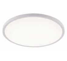 Потолочный светильник Natali Kovaltseva Plain LED LAMPS 81113/5C