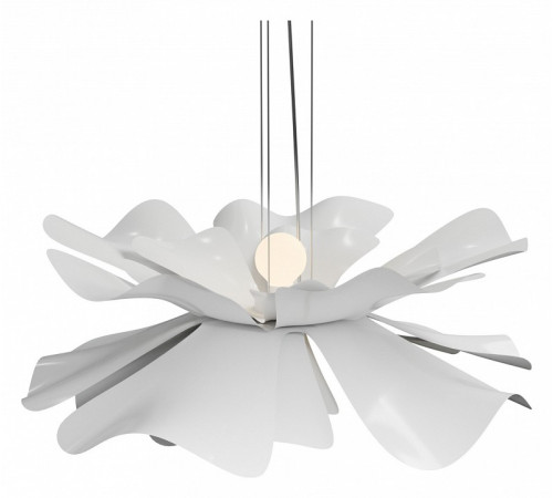Подвесная люстра Lightera Chad LE116L-60W Подвесная люстра Lightera Chad LE116L-60W