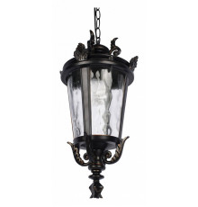Уличный подвесной светильник Loft IT Verona 100003P