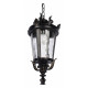 Уличный подвесной светильник Loft IT Verona 100003P