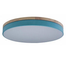 Потолочный светильник Loft IT AXEL 10001/36 Blue
