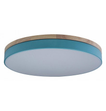 Потолочный светильник Loft IT AXEL 10001/36 Blue