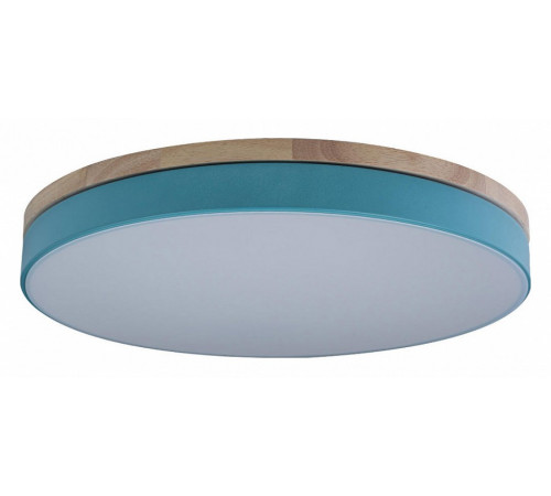 Потолочный светильник Loft IT AXEL 10001/36 Blue Потолочный светильник Loft IT AXEL 10001/36 Blue