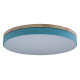 Потолочный светильник Loft IT AXEL 10001/36 Blue