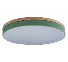Потолочный светильник Loft IT AXEL 10001/36 Green