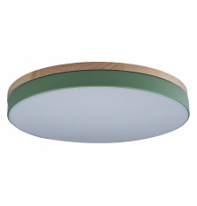 Потолочный светильник Loft IT AXEL 10001/36 Green