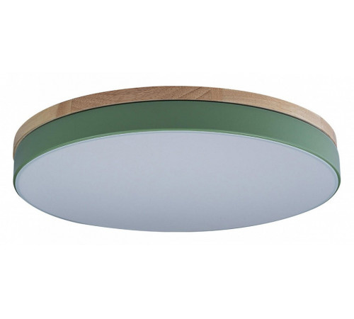 Потолочный светильник Loft IT AXEL 10001/36 Green Потолочный светильник Loft IT AXEL 10001/36 Green