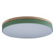 Потолочный светильник Loft IT AXEL 10001/36 Green