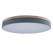 Потолочный светильник Loft IT AXEL 10001/36 Grey