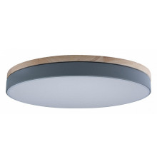 Потолочный светильник Loft IT AXEL 10001/36 Grey