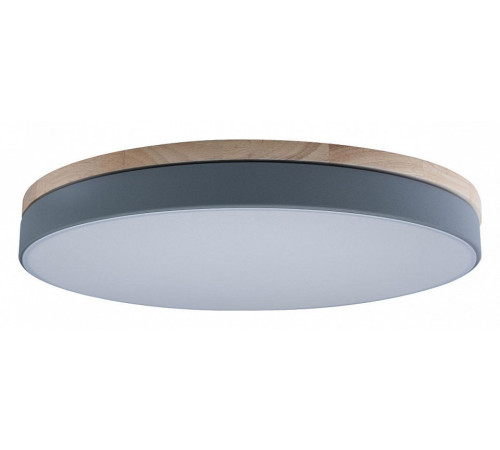 Потолочный светильник Loft IT AXEL 10001/36 Grey