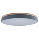 Потолочный светильник Loft IT AXEL 10001/36 Grey
