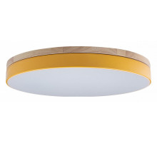 Потолочный светильник Loft IT AXEL 10001/36 Yellow