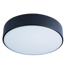 Потолочный светильник Loft IT AXEL 10002/12 Black
