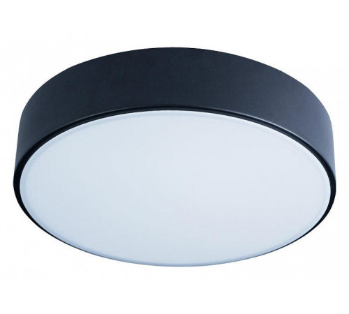 Потолочный светильник Loft IT AXEL 10002/12 Black Потолочный светильник Loft IT AXEL 10002/12 Black