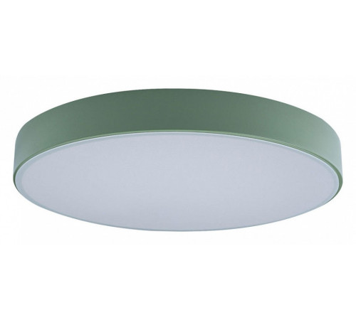 Потолочный светильник Loft IT AXEL 10002/24 Green Потолочный светильник Loft IT AXEL 10002/24 Green
