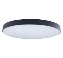 Потолочный светильник Loft IT AXEL 10002/48 Black