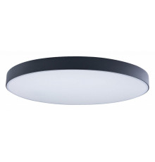 Потолочный светильник Loft IT AXEL 10002/48 Black