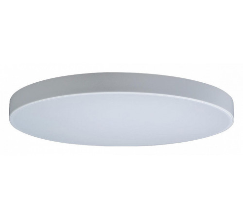 Потолочный светильник Loft IT AXEL 10002/48 White Потолочный светильник Loft IT AXEL 10002/48 White