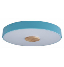 Потолочный светильник Loft IT AXEL 10003/24 Blue
