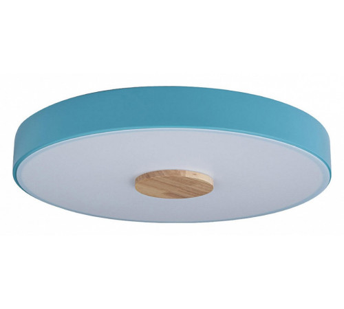 Потолочный светильник Loft IT AXEL 10003/24 Blue Потолочный светильник Loft IT AXEL 10003/24 Blue