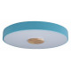 Потолочный светильник Loft IT AXEL 10003/24 Blue