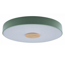 Потолочный светильник Loft IT AXEL 10003/24 Green