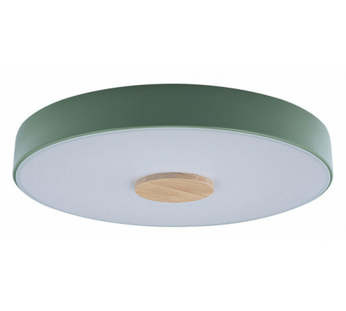 Потолочный светильник Loft IT AXEL 10003/24 Green Потолочный светильник Loft IT AXEL 10003/24 Green