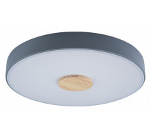 Потолочный светильник Loft IT AXEL 10003/24 Grey