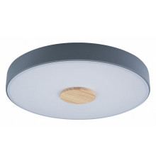 Потолочный светильник Loft IT AXEL 10003/24 Grey