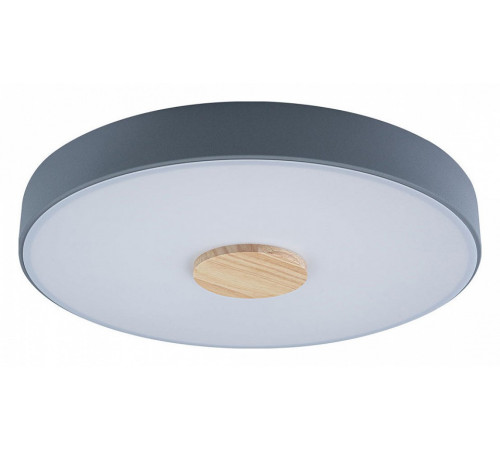 Потолочный светильник Loft IT AXEL 10003/24 Grey Потолочный светильник Loft IT AXEL 10003/24 Grey