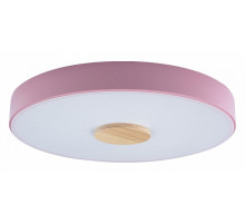Потолочный светильник Loft IT AXEL 10003/24 Pink