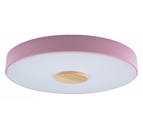 Потолочный светильник Loft IT AXEL 10003/24 Pink Потолочный светильник Loft IT AXEL 10003/24 Pink