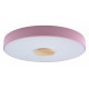 Потолочный светильник Loft IT AXEL 10003/24 Pink