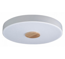 Потолочный светильник Loft IT AXEL 10003/24 White