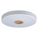 Потолочный светильник Loft IT AXEL 10003/24 White