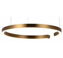 Подвесной светодиодный светильник Loft IT Ring 10013L