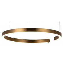 Подвесной светодиодный светильник Loft IT Ring 10013L