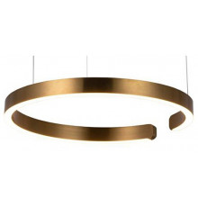 Подвесной светодиодный светильник Loft IT Ring 10013M