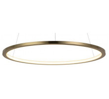 Подвесной светодиодный светильник Loft IT Ring 10014M